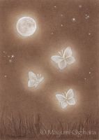 Butterflies and Moonbeam